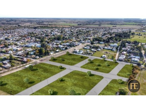 LOTEO LOS OLIVOS - COLONIA AVELLANEDA - Clasionce | Fácil comprar, fácil  vender