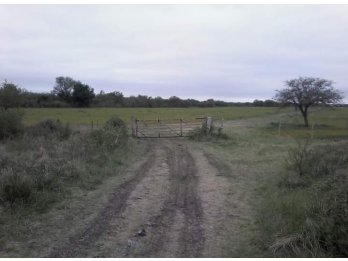 SE VENDE CAMPO